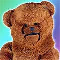 Bungle from Rainbow